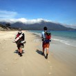 travel insurance online