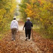 traveler diseases in America