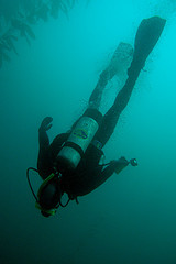 Travel insurance for deep sea dives and space exploration