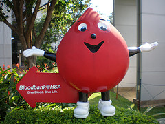 World Blood Donor Day 2011