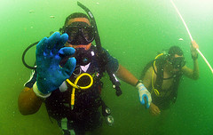 underwater cruise disaster treasure