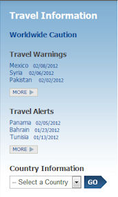 travel.state.gov check status
