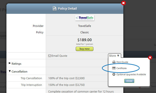 Travel Insurance Certificate